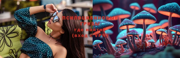 Альфа ПВП Пересвет