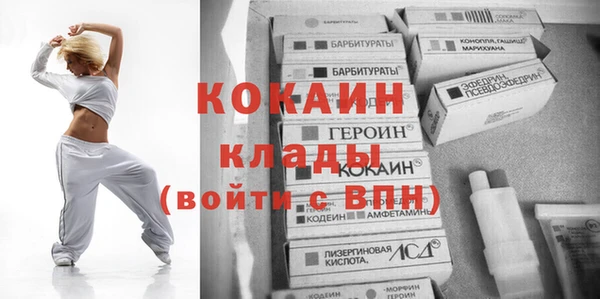 Альфа ПВП Пересвет