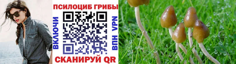 купить наркотики сайты Струнино Галлюциногенные грибы Cubensis